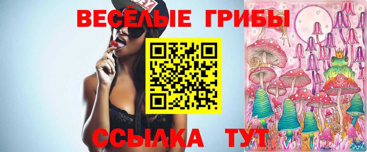 цены   Вход с VPN  Галлюциногенные грибы Psilocybine cubensis  Юрга  Галлюциногенные грибы Psilocybine cubensis 
